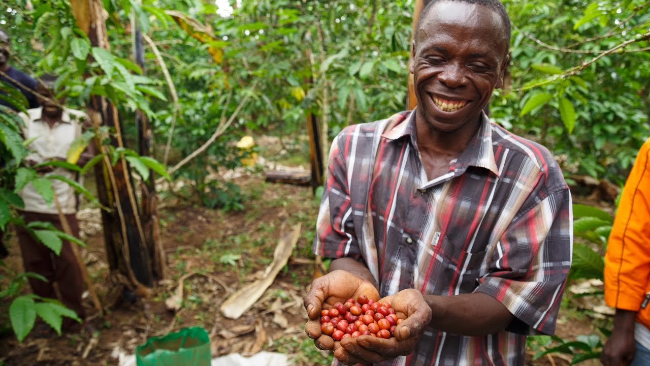 African Agriculture