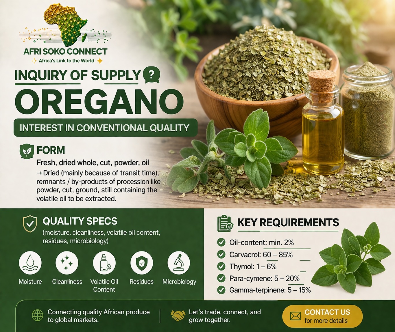 Market Inquiry: Supply of Oregano (Conventional Quality) – Active Buyer Seeking Dried Oregano with Minimum 2% Oil Content