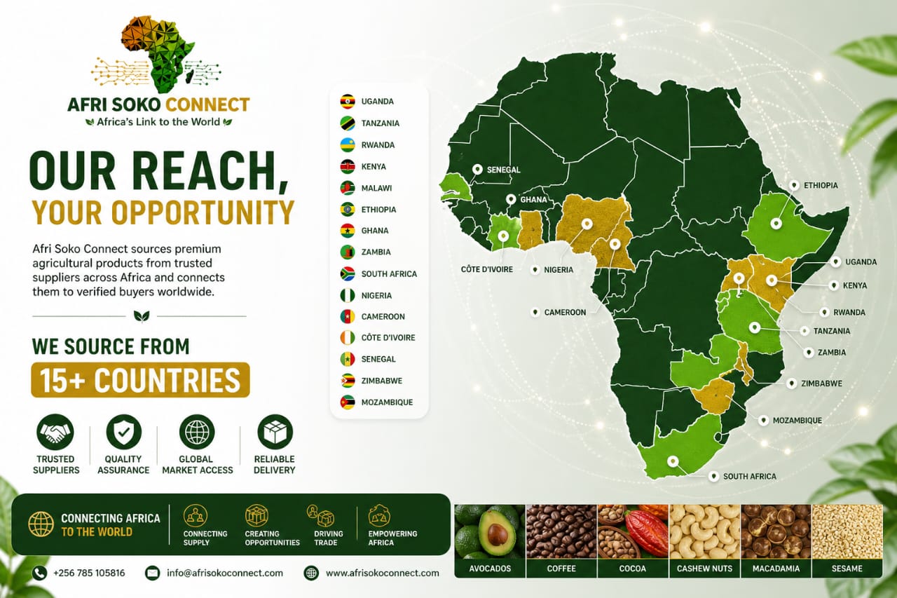 Our Reach, Your Opportunity – Sourcing Premium Agricultural Products from 15+ African Countries