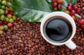 Coffee Prices in Uganda Today: Complete Market Guide for 2026