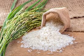 RICE